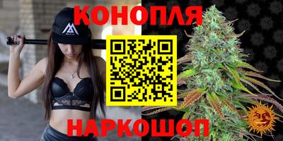 стаф Кулебаки